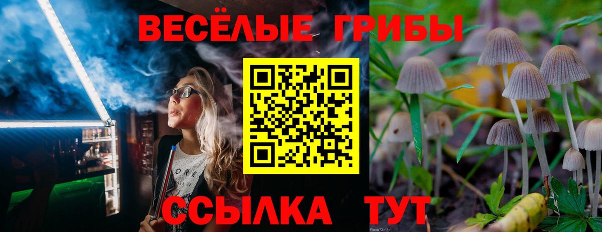 Галлюциногенные грибы мухоморы Рассказово